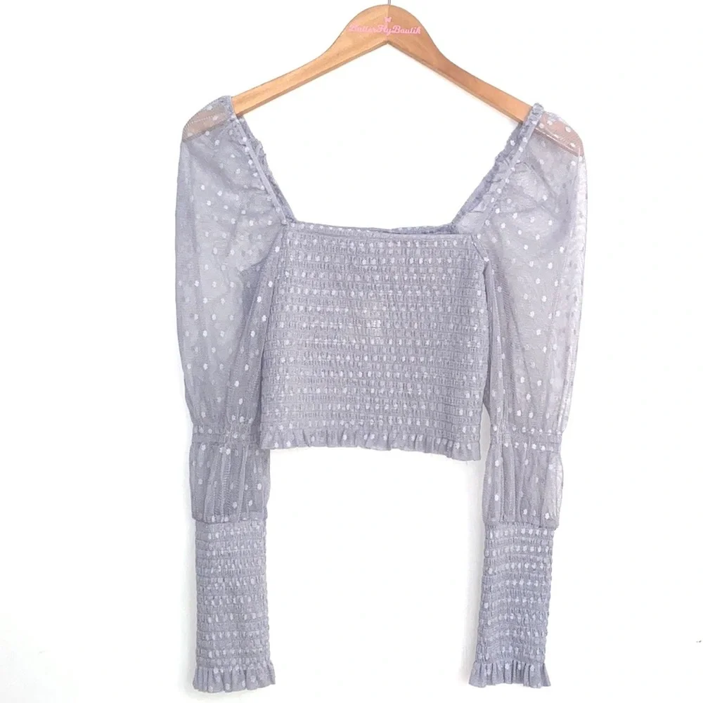 (A7) Free People Grey‎ Mesh Smocked Long Sleeve Crop Top, Size Small, NWT